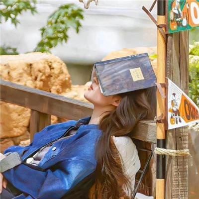 宅门里的丫鬟们